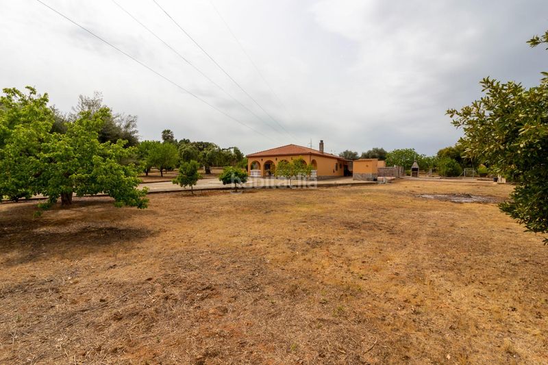 Foto 3245b062-6822-4561-89a2-9710d66afc22. Casa a avenida avenida campomanes 37 a Dehesilla de Calamón - Campomanes Badajoz