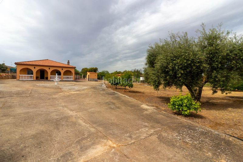 Foto 775fe50c-0c94-449b-992a-089cb82f29da. Casa a avenida avenida campomanes 37 a Dehesilla de Calamón - Campomanes Badajoz