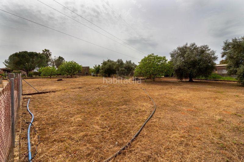 Foto 7d8f249c-e487-4884-b296-89386218e9f2. Casa a avenida avenida campomanes 37 a Dehesilla de Calamón - Campomanes Badajoz