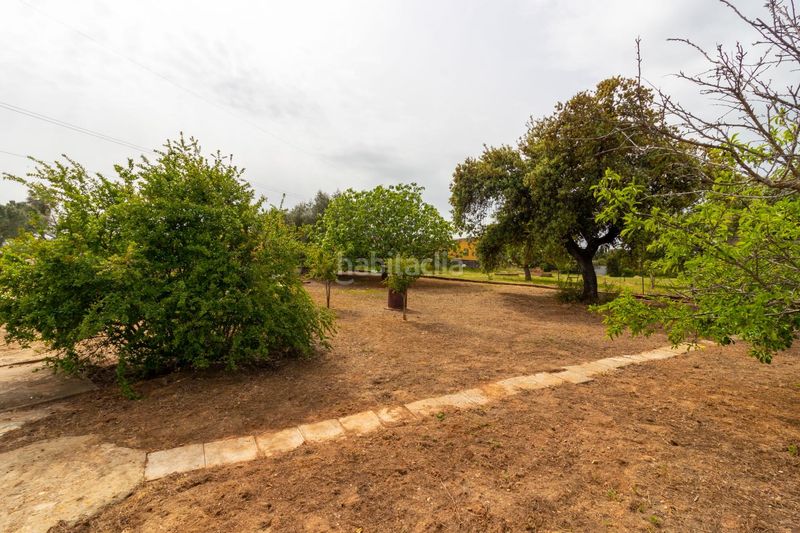 Foto cb318aa1-7555-4623-a5ba-7fd820d4f679. Casa a avenida avenida campomanes 37 a Dehesilla de Calamón - Campomanes Badajoz