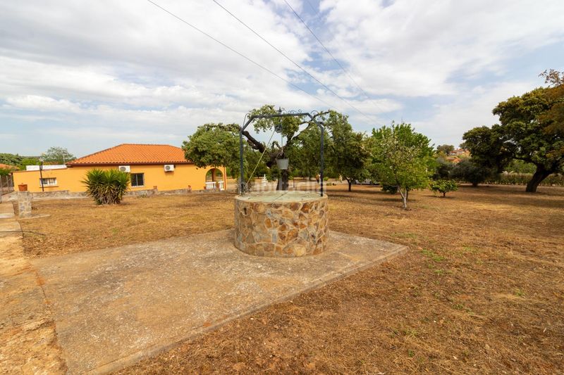 Foto dc544d54-0da3-4444-b245-37a6d52ed830. Casa a avenida avenida campomanes 37 a Dehesilla de Calamón - Campomanes Badajoz