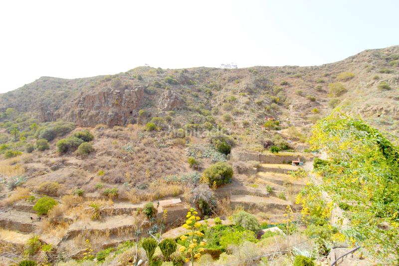 Foto 5c537c1d-bed0-4c84-997b-cf67cc28e55e. Chalet en gc-803 3 en Caserones - La Higuera Telde