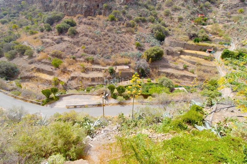 Foto a6408f04-140c-4a7d-849a-2566c7f44c1f. Chalet en gc-803 3 en Caserones - La Higuera Telde