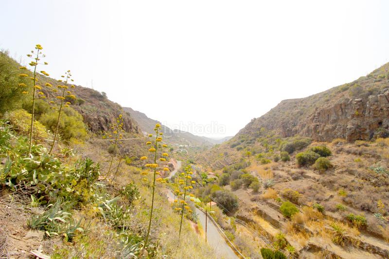 Foto c9a72c58-dff4-404f-8bba-fc77f92c7ff5. Chalet en gc-803 3 en Caserones - La Higuera Telde