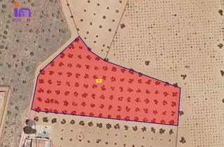 Mas à Valdepeñas. Finca en venta en periferia.