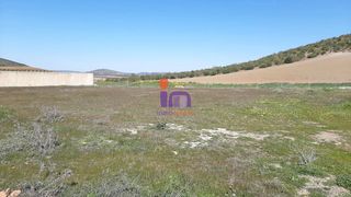 Casale in Santa Cruz de Mudela. Finca en venta en santa cruz de mudela.