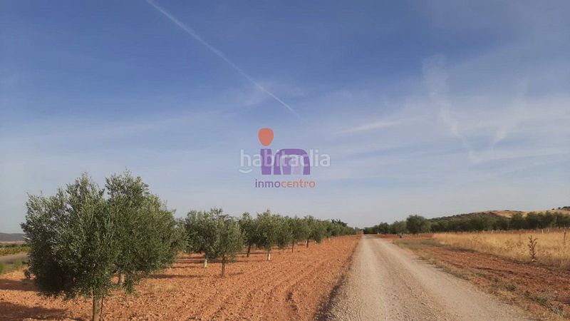 Foto 56e424e9-7e90-4bfe-a6d2-8b5609579527. Masia a Valdepeñas