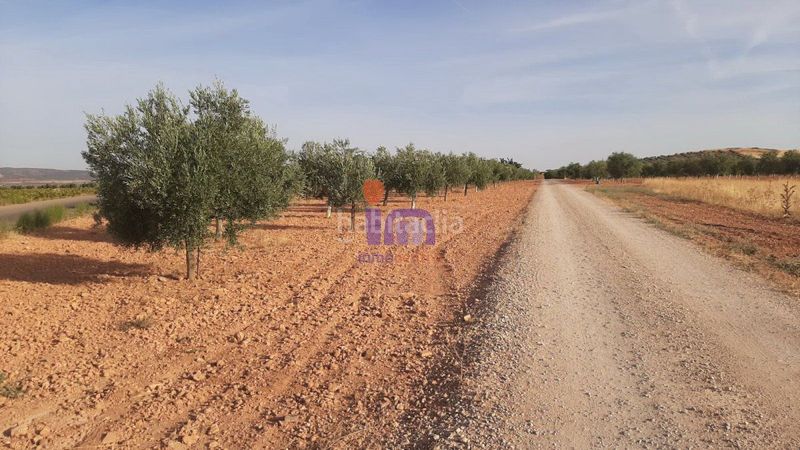 Foto a3af177f-3e6f-45a9-bbbe-71b590390c44. Masia a Valdepeñas