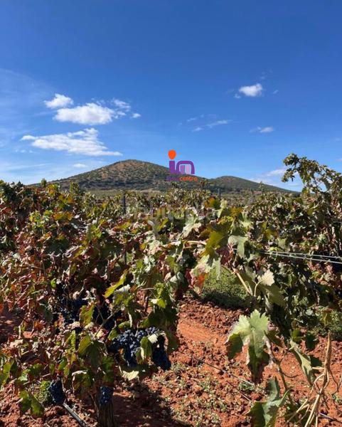 Foto 746270c1-19df-4d9d-b1cc-f86eed387dcd. Casale in Granátula de Calatrava