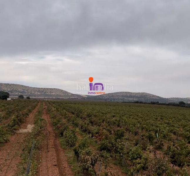 Foto a3573695-db55-4443-800d-73e660a7a101. Casale in Granátula de Calatrava