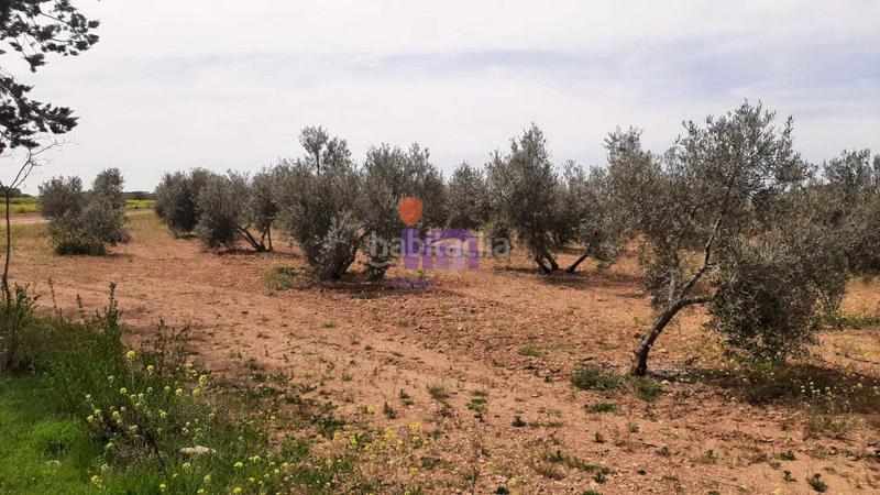 Foto 8925ce64-71f3-42c2-a35d-d1f91524cef7. Chalet  en venta en periferia, 3 dormitorios. en Membrilla