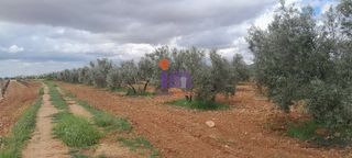 Masia en Valdepe�as. Finca r�st. en venta en periferia.