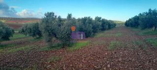 Mas à Moral de Calatrava. Finca rúst. en venta en periferia.