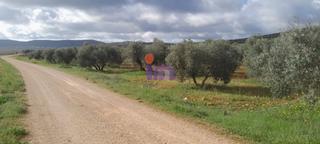 Mas à Valdepeñas. Finca rúst. en venta en periferia.