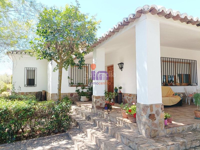 Foto 096610e1-5079-49bb-a493-f0fcbf00ab7e. Chalet mit parking in Valdepeñas