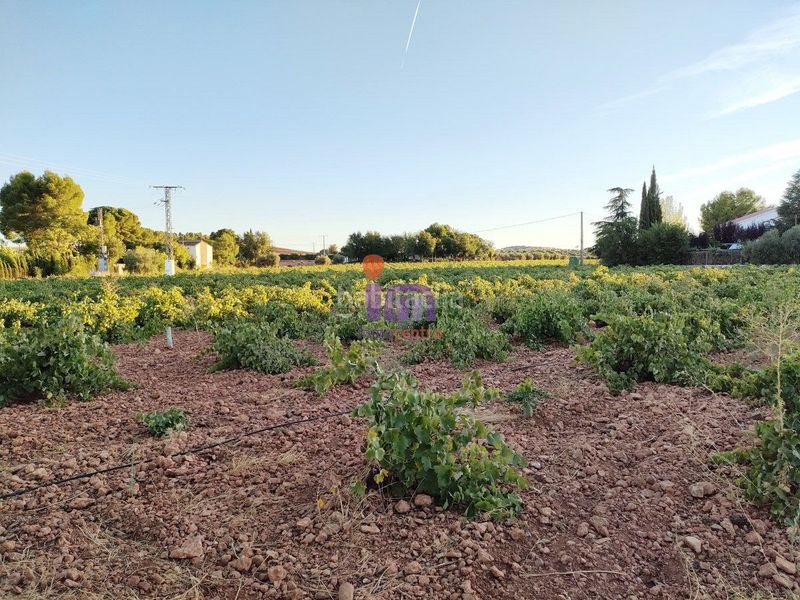 Foto 64432c53-c9ed-4237-b612-09b9895b693f. Chalet mit parking in Valdepeñas
