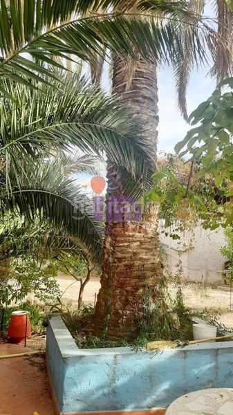 Foto 87d132ae-6fd2-4658-91c9-f28708a4e35f. Casa a Valdepeñas