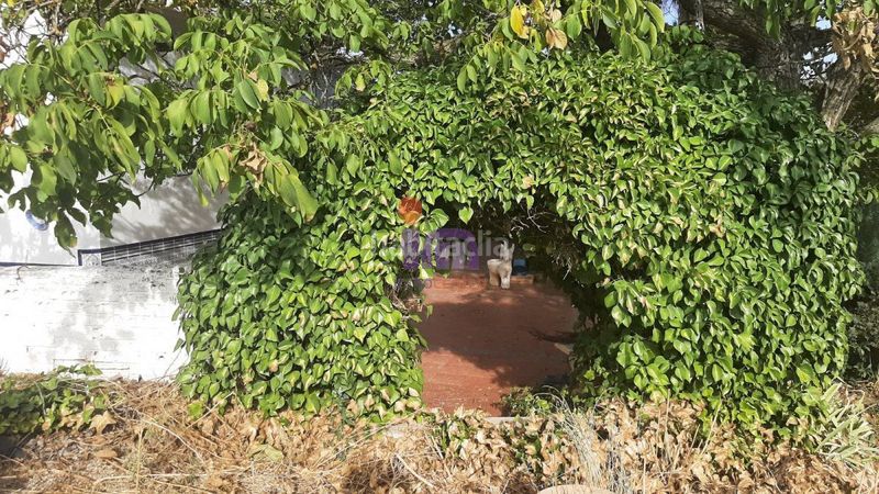 Foto 99ea4255-beb6-4897-838f-3a3c5367319e. Casa a Valdepeñas