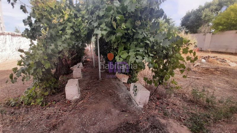 Foto d963c783-fb23-4c20-8392-9be83a8de48d. Casa a Valdepeñas