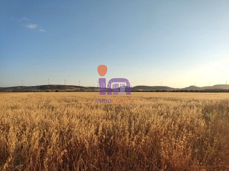 Foto ba8ac0aa-94ab-4292-b035-49054c2b81d0. Masia a Moral de Calatrava