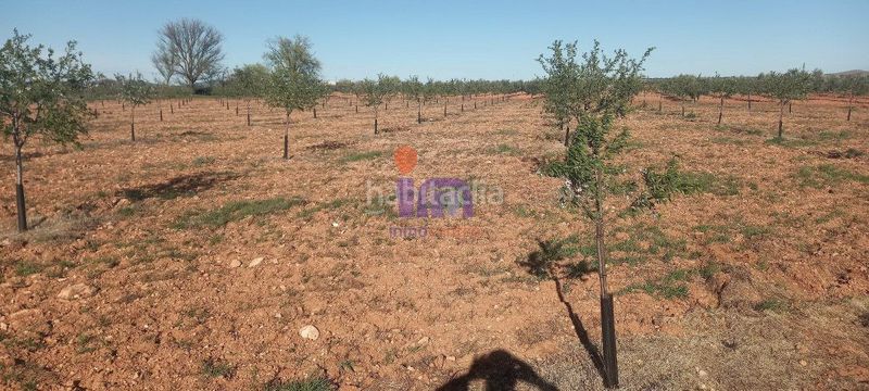 Foto 53cae25c-a96b-4c50-9106-f02e0d1bbb9a. Masia a Valdepeñas