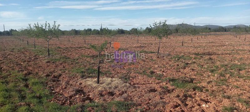 Foto 7ab2cbbb-c17a-407e-830e-9e593803e549. Masia a Valdepeñas