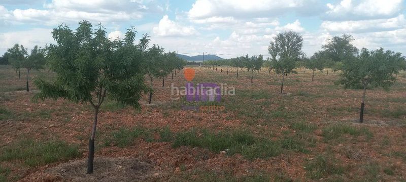 Foto da02acde-260e-4565-8475-95e973ca81f1. Masia a Valdepeñas