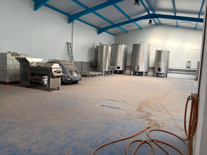 Foto d68d24b7-43cb-4fc1-8289-8a11adb643d0. Nau industrial a calle duque de alba 31a a Pedro Muñoz