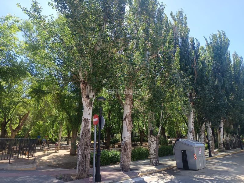 Foto fe7890da-1307-459b-8291-35479ec86c35. Casa a Pedro Muñoz