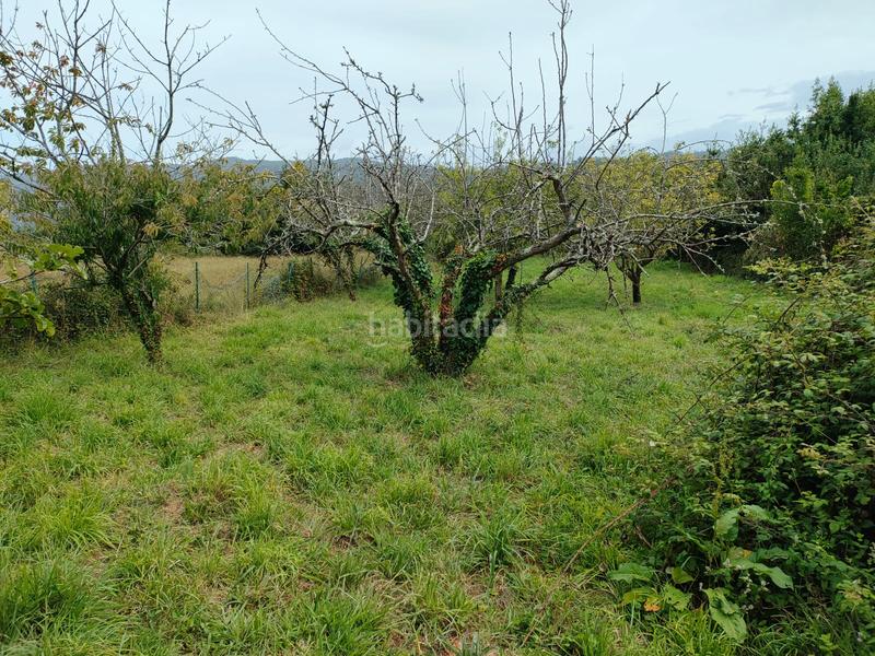 Foto 925aa096-1869-47ec-ac80-fe6254c301e1. Casale con camino in Cedeira