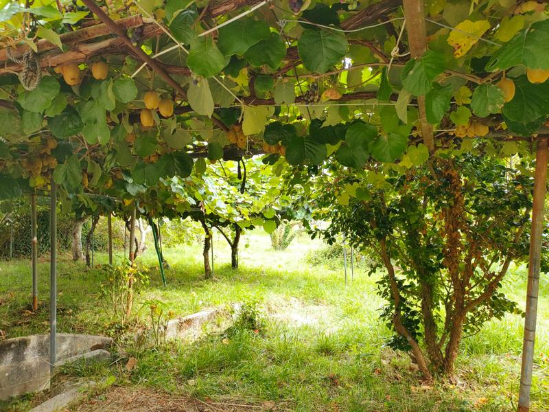 Foto 97b13bbd-5bab-452d-9b94-8c747ab98346. Casale con camino in Cedeira