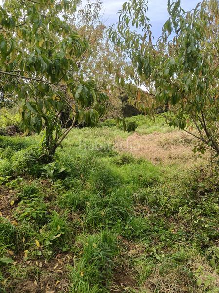 Foto 357a808a-c2ab-461b-bbe1-aadab493250c. Bauernhof in lugar balteiro 2 in Cedeira