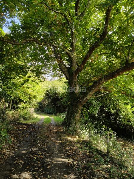 Foto 7440a715-ad26-45ab-987e-324f144dd250. Bauernhof in lugar balteiro 2 in Cedeira