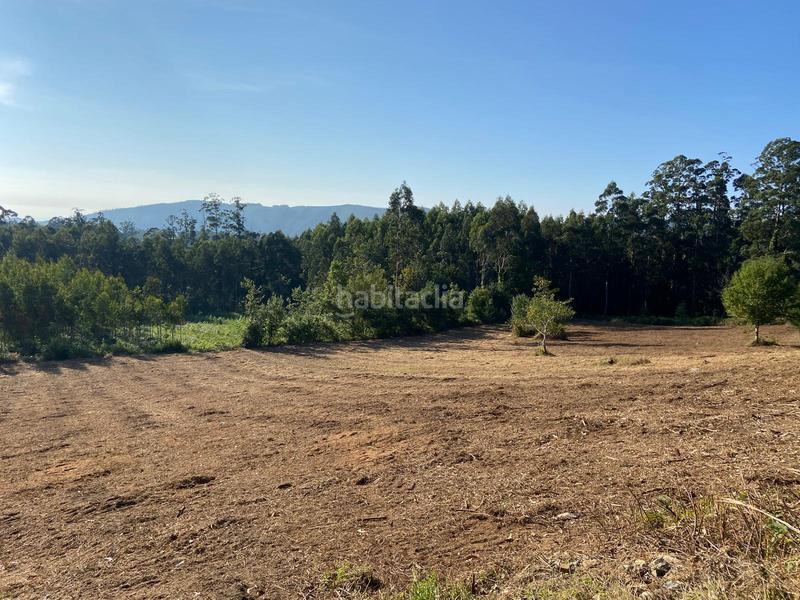 Foto 041d04de-53ec-407f-ade4-c0a9f3203235. Casale in Cedeira