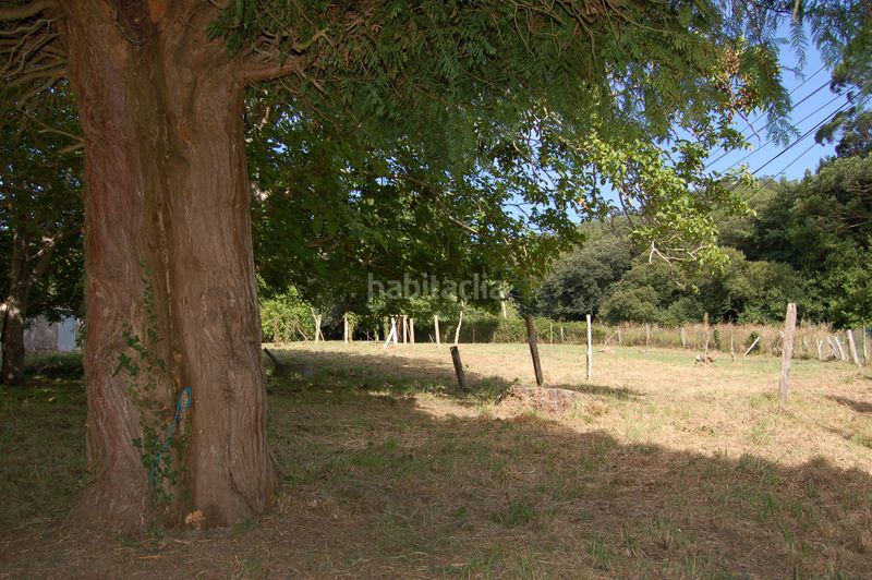 Foto 065c08c5-b6a8-4fa8-a896-14328a22e6e3. Terreno residencial **se venden dos fincas edificables** en Cedeira