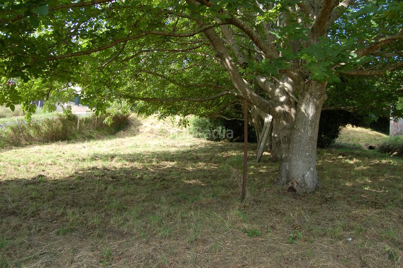 Foto d1322cc1-1cb8-40cf-8d84-8ca06dc914cb. Terreno residencial **se venden dos fincas edificables** en Cedeira