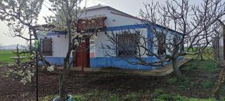 Masia a Valdepeñas. Valdepeñascasa