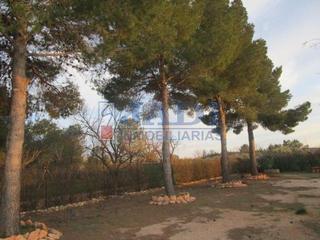 Masia a Valdepeñas. Valdepeñascasa