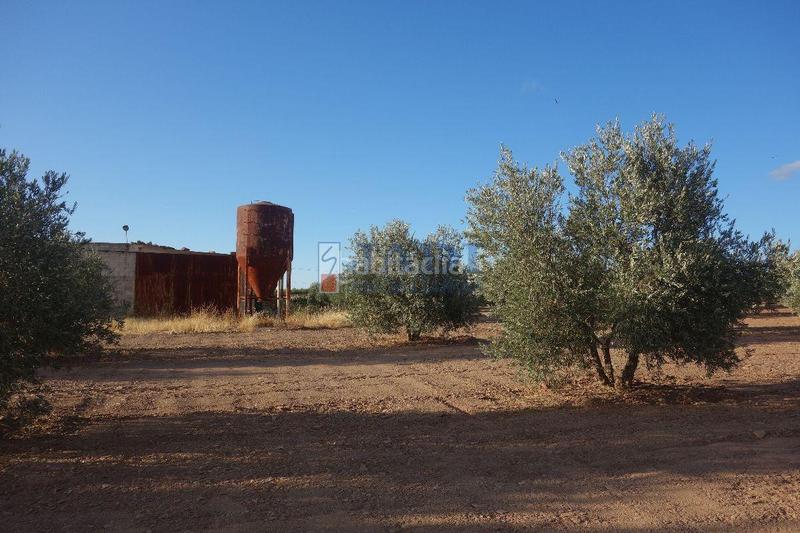 Foto 0a3655e8-6a42-4072-b4a1-dc6c7ecd0e06. Nau industrial a Valdepeñas