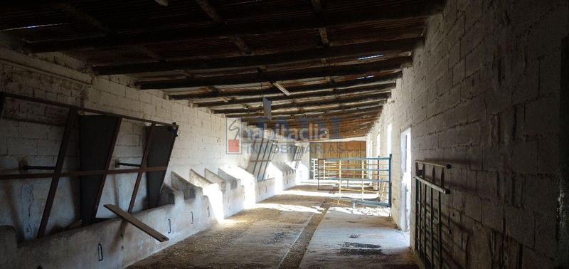 Foto 167a607f-ba9a-4cfe-bdde-a93576ea1e48. Nau industrial a Valdepeñas