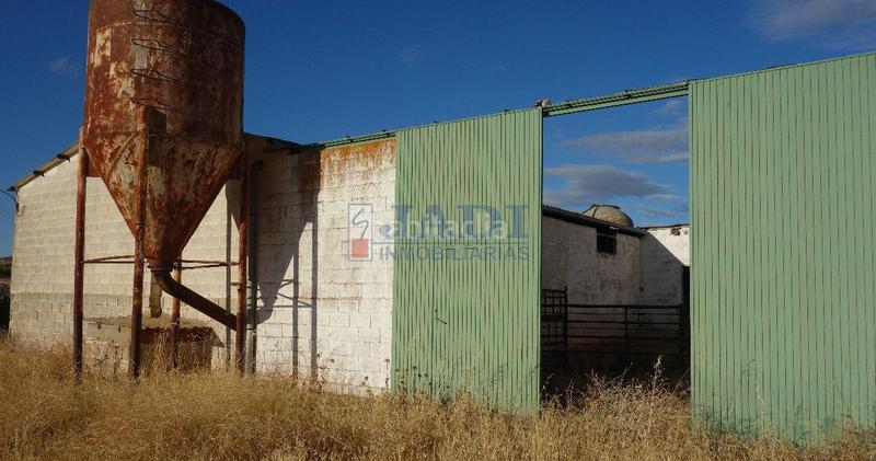 Foto 5519b01d-fabf-4b39-98b5-e83a7983a35a. Nau industrial a Valdepeñas