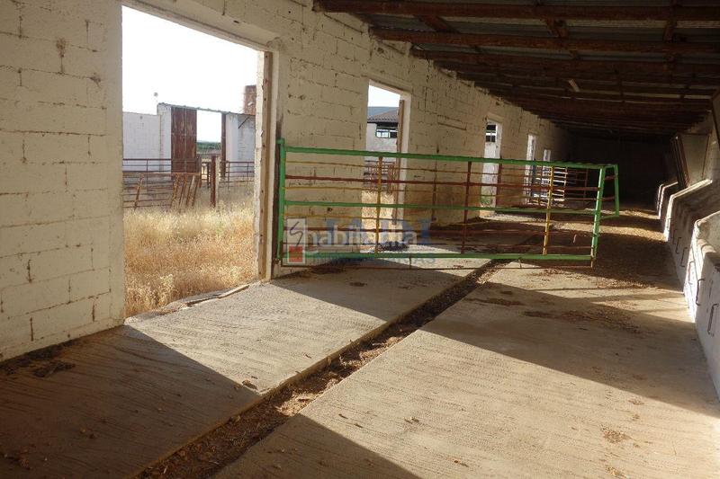 Foto 862e0e90-e1ed-45d1-9b47-fdaabcf159a9. Nau industrial a Valdepeñas