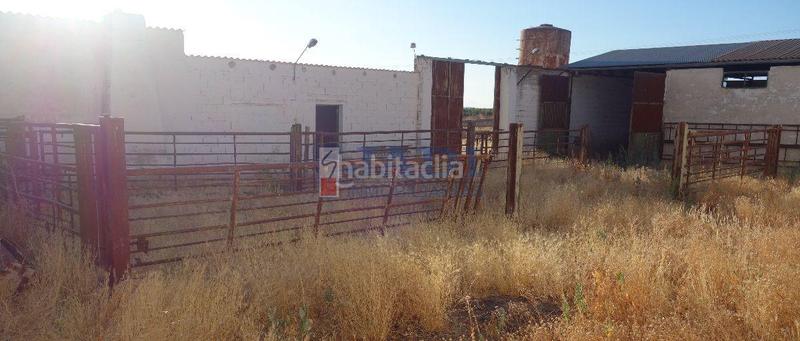 Foto a0948ca0-1a13-4930-83f0-075299502837. Nau industrial a Valdepeñas