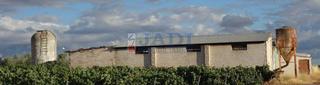 Nau industrial a Valdepeñas. Valdepeñasnave