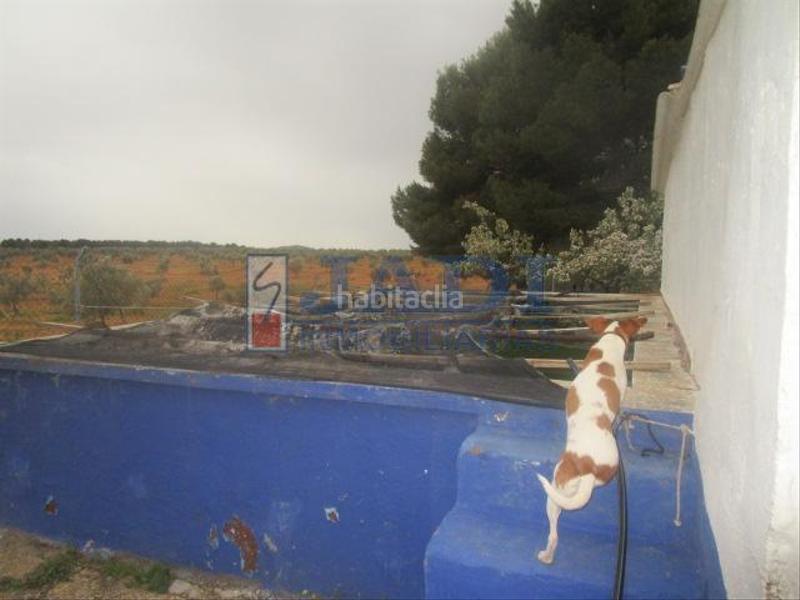 Foto 6d2a0c48-4f6b-4e45-8234-3b06fe2ec23f. Casale con parcheggio in Valdepeñas