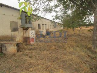 Nau industrial a Valdepeñas. Valdepeñasnave