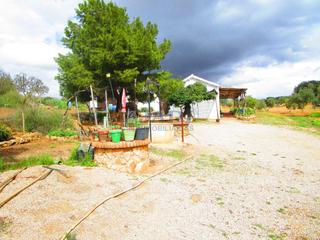 Masia a Valdepeñas. Valdepeñasfinca rustica