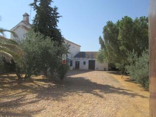 Haus in Valdepeñas. Valdepeñascasa
