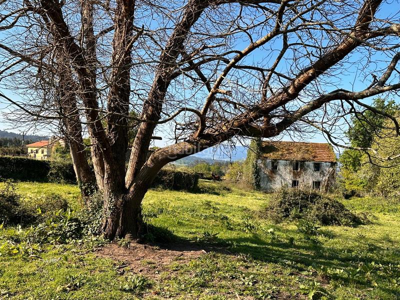 Foto 11224fbe-bdcd-4834-bd54-d964e0bd470d. Casa a rúa argimiro gonzález neira 7 a Vedra