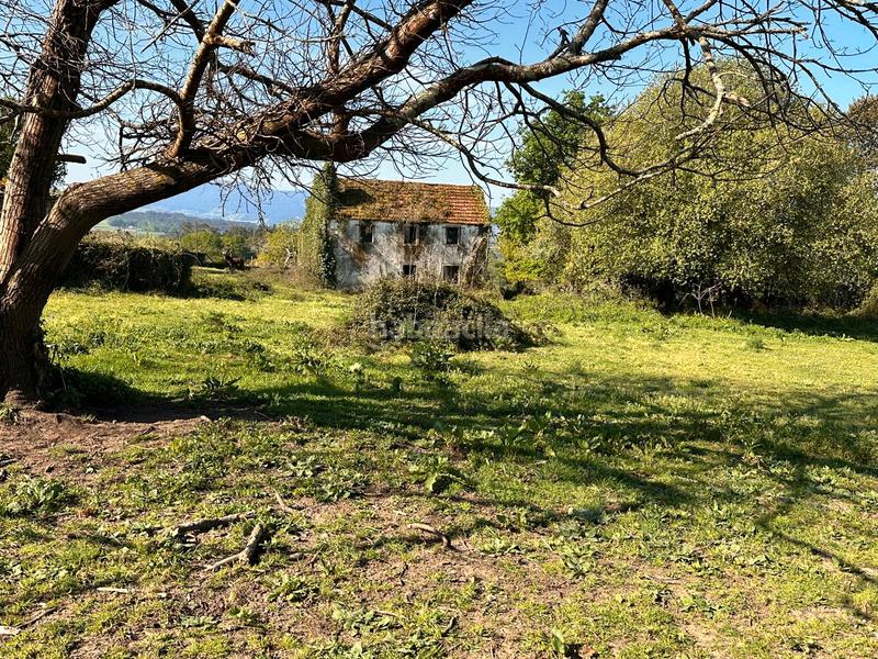 Foto 8c01d64e-feac-41db-84df-0ad70d1ae625. Casa a rúa argimiro gonzález neira 7 a Vedra